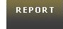 Report