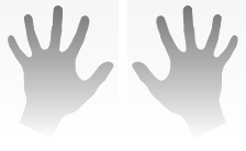 Enrolled Fingerprints